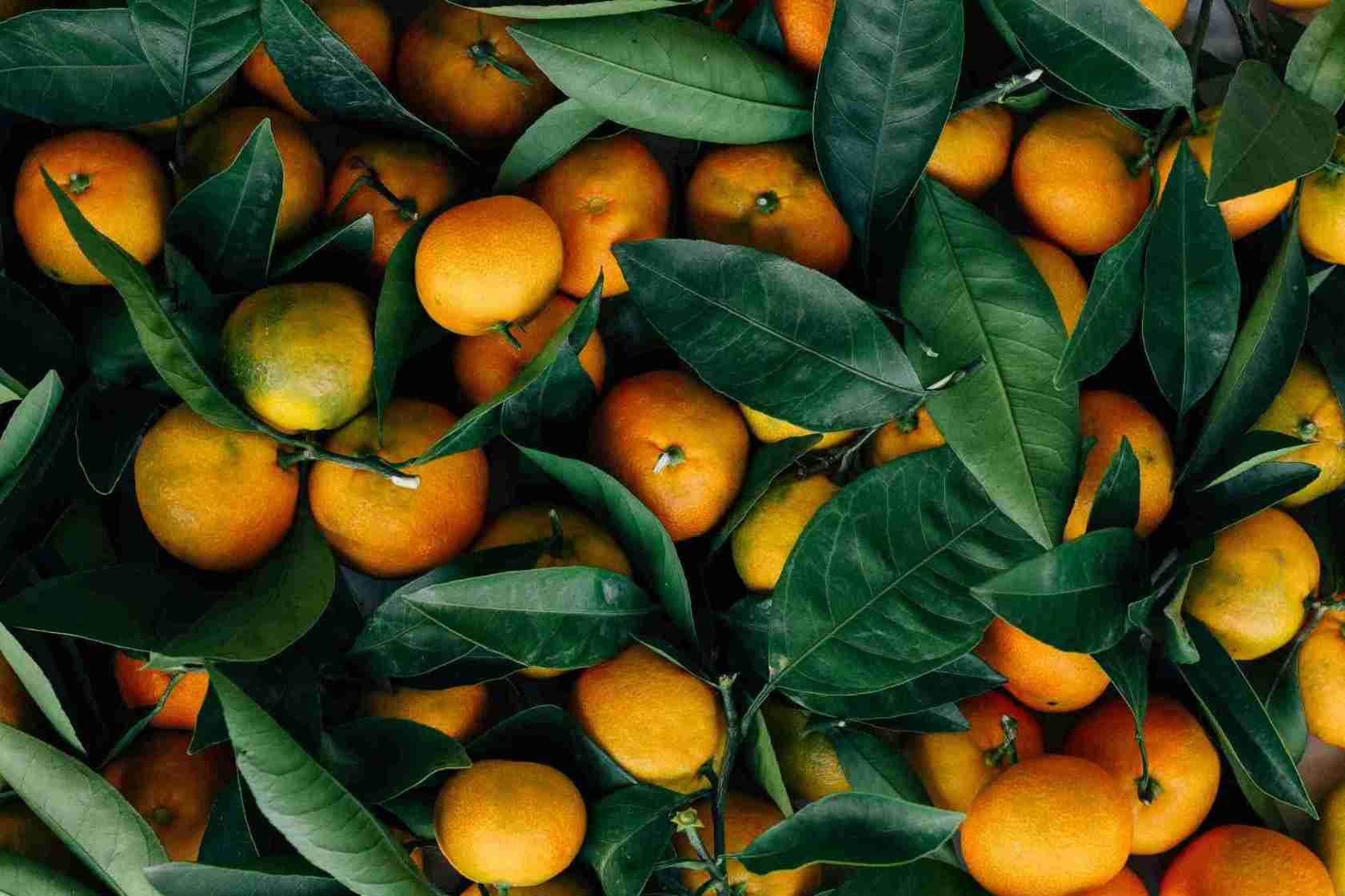 Fruits available from GateGrocer
